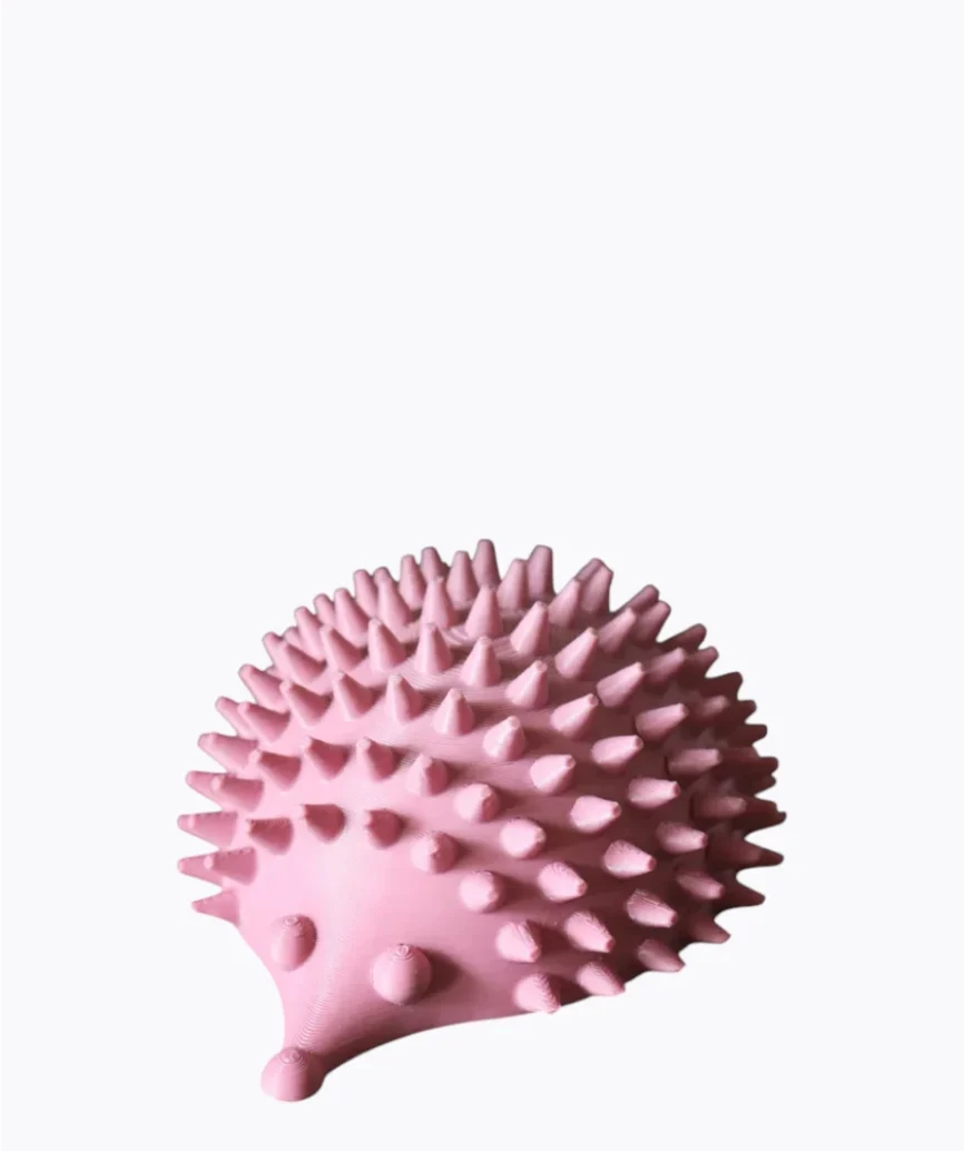 3D Ξύστρα & Groomer για Γάτες