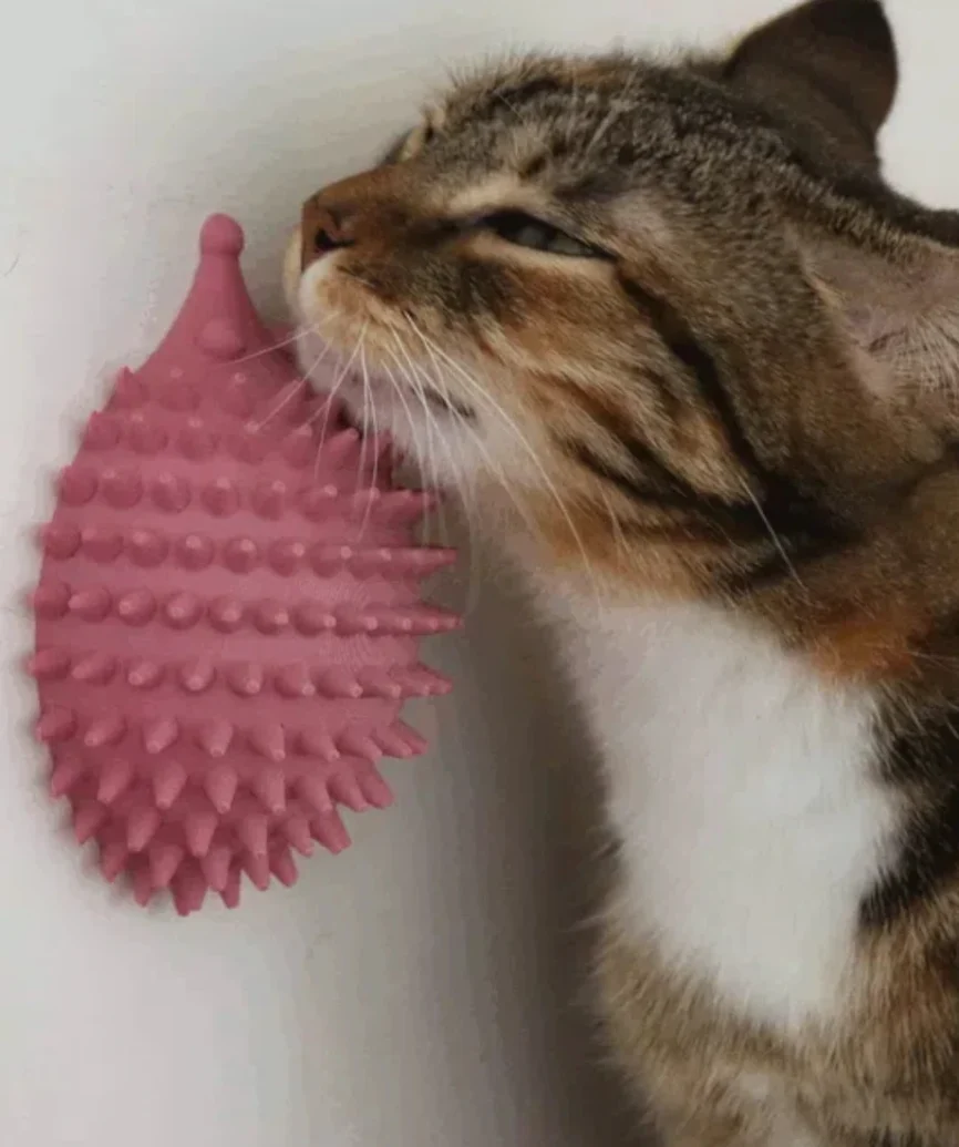 3D Ξύστρα & Groomer για Γάτες